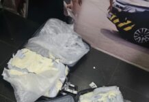 PF prende homem com mais 36 kg de droga no Aeroporto de Manaus