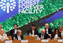 Lula lança em Belém fundo para preservação de florestas tropicais