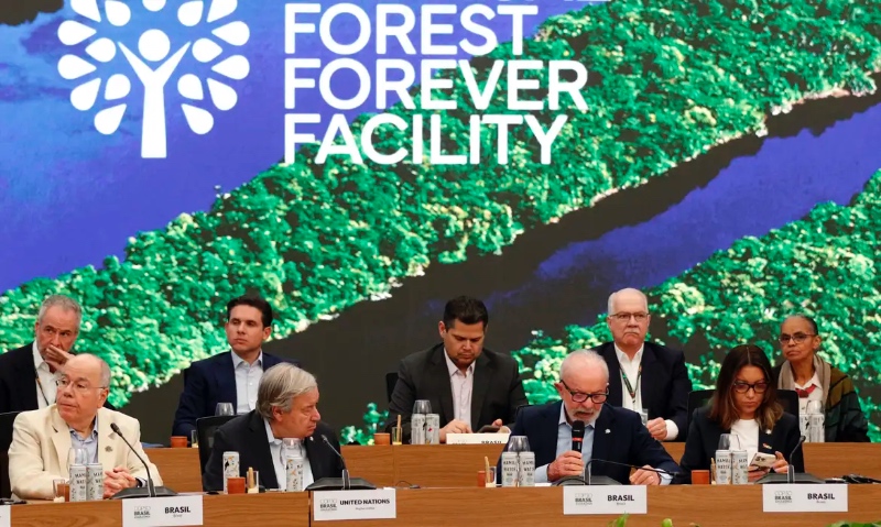 befunky_2025-10-4_14-39-58