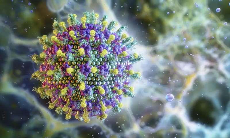 virus-nipah-e1769515319494