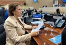 Yomara Lins apresenta moção de repúdio sobre representação da família em desfile de escola de samba