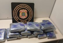 PF combate tráfico de drogas no Aeroporto de Manaus