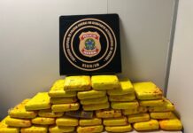 PF apreende 37 kg de skunk no Aeroporto de Manaus/AM