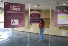 Aleam realiza exposição no Agosto Lilás para divulgar ações da Procuradoria Especial da Mulher