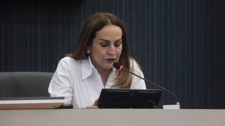 PL-de-Gloria-Carratte-quer-garantir-atendimento-a-quem-nao-tem-comprovante-de-residencia-ou-documento-de-identidade-768x432.jpg-1